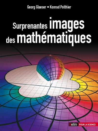 Surprenantes images des mathématiques (2013)